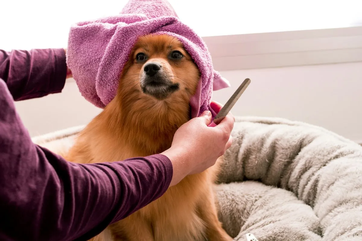 Cachorro enrolado na toalha depois do banho